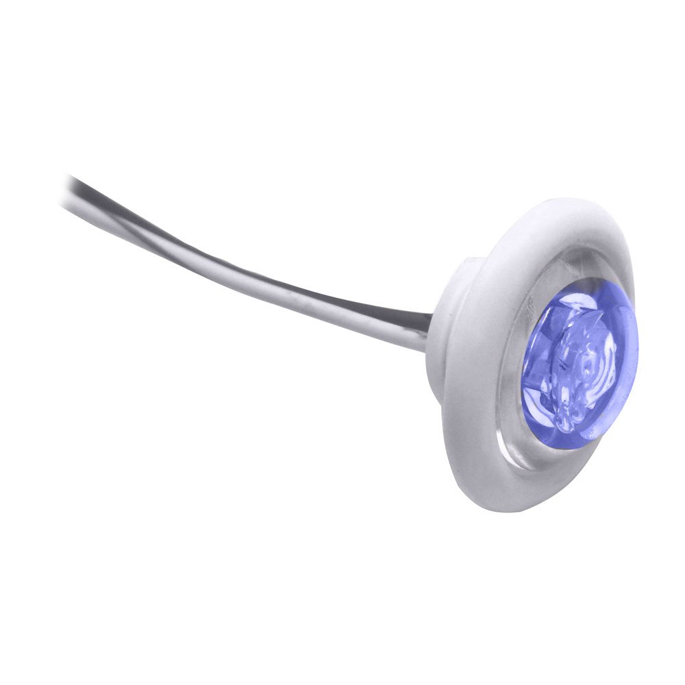 Innovative Lighting LED Bulkhead/Livewell Light "The Shortie" Blue LED w/ White Grommet 39718XL